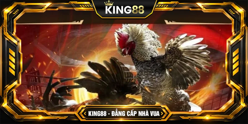 Kinh Nghiệm Bắt Kèo Đá Gà Cựa Sắt Nắm Chắc Phần Thắng tại King88