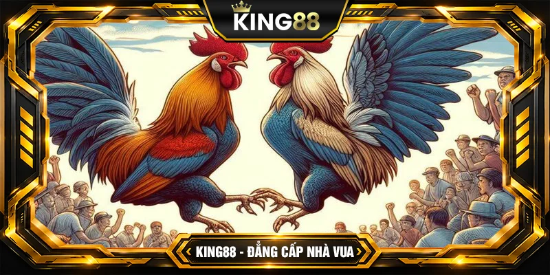Cách Đá Gà SV128 King88 Cách Đá Gà SV128 King88