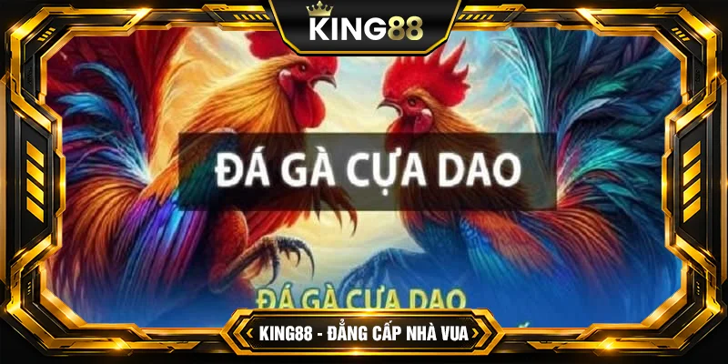 Đá Gà Cựa Dao – Kinh nghiệm đá gà bách chiến bách thắng
