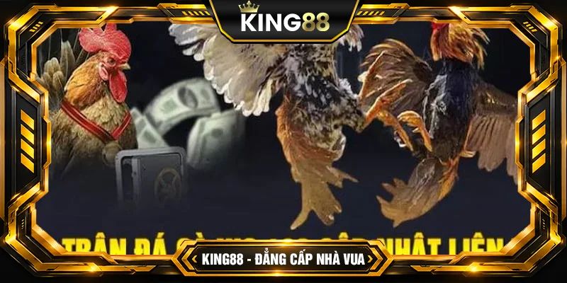 Đá Gà WS168 King88 – Đấu Trường Online Số 1