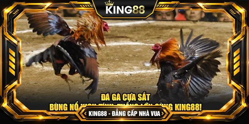 Kinh Nghiệm Bắt Kèo Đá Gà Cựa Sắt Nắm Chắc Phần Thắng tại King88